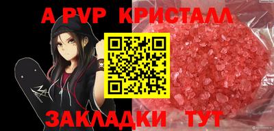 стаф Канаш