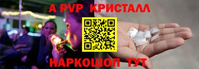 стаф Канаш