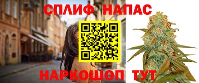 стаф Канаш