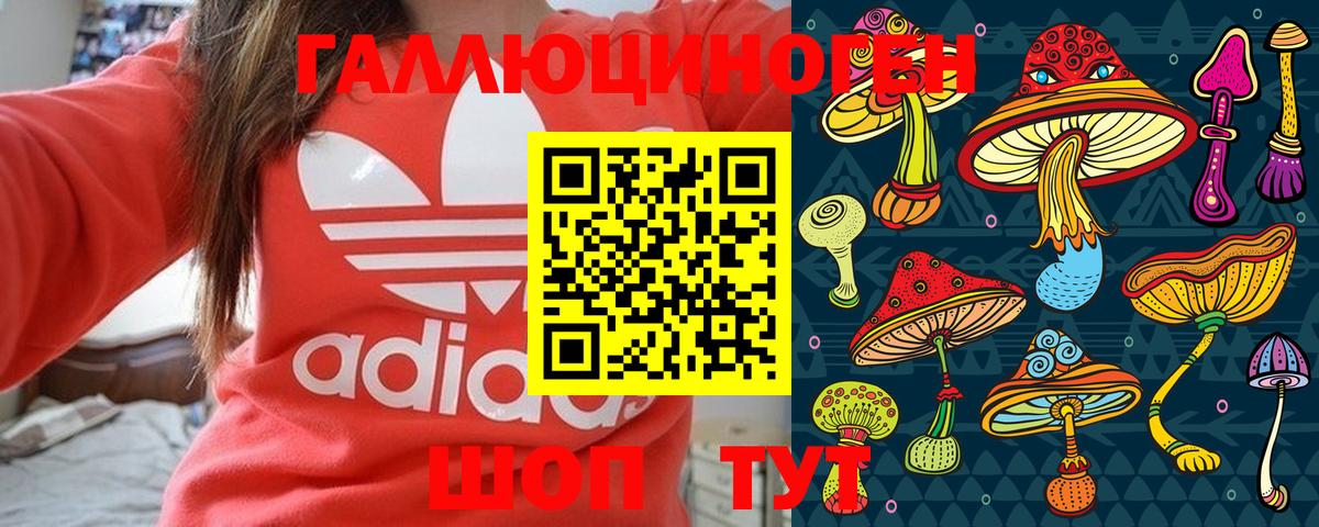 Майкоп  Галлюциногенные грибы Psilocybine cubensis  Вход с VPN 