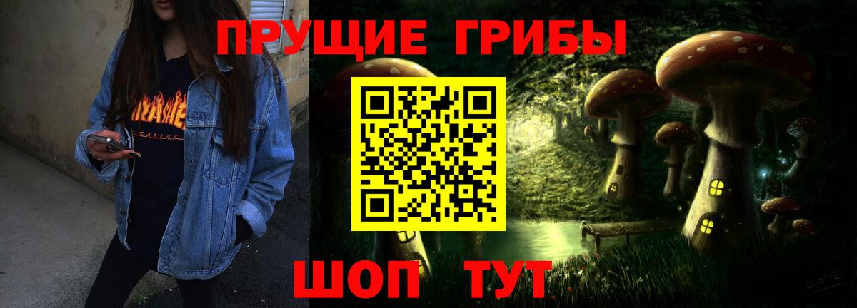 Галлюциногенные грибы Psilocybe Майкоп